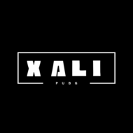 Pubg Xali Logo